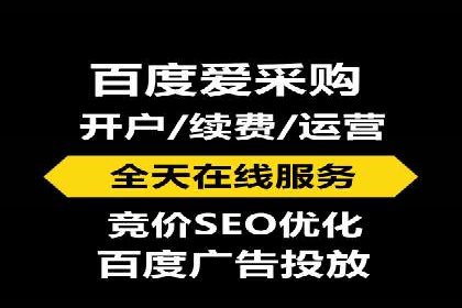 网络推广策略：竞价广告的实践案例